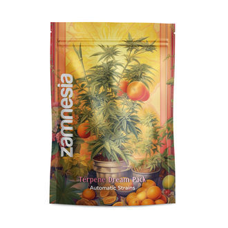 Terpene Dream Pack - Autoflower Strains