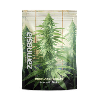 Kings of Kush Pack - Autoflower Strains