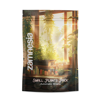 Small Plants Pack - Autoflower Strains