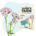 Wellness Seed Pack - Zammi's Farm
