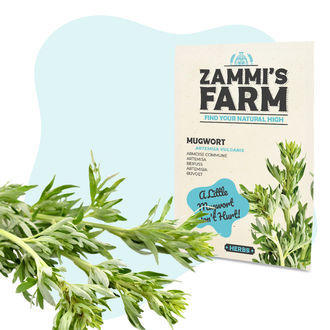 Wellness Seed Pack - Zammi's Farm