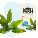 Wellness Seed Pack - Zammi's Farm