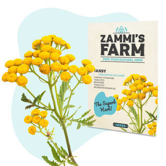 Wellness Seed Pack - Zammi's Farm