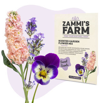 Flower Seed Pack - Zammi's Farm