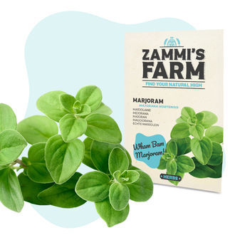 BBQ Herbs Seed Pack - Zammi's Farm
