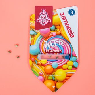 Wurlz F1 Autoflower (Zamnesia Seeds) feminized