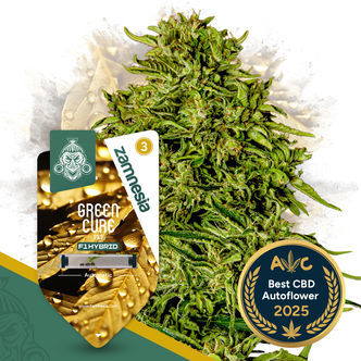 Green Cure CBD F1 Autoflower (Zamnesia Seeds) feminized