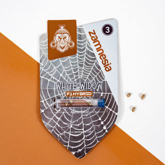 White Widow F1 Autoflower (Zamnesia Seeds) feminized