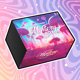 Magic Truffle Mystery Box (Zamnesia)