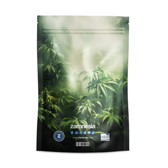 Monstrous Monsters Z-Lock Stash Bags (Large)