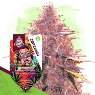 Karen Kush (Zamnesia Seeds) feminized