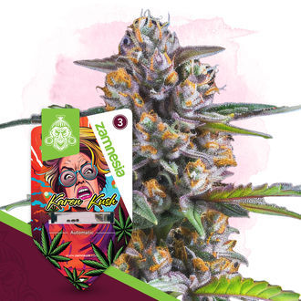 Karen Kush Autoflower (Zamnesia Seeds) feminized