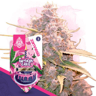Birthday Cake Autoflower (Zamnesia Seeds) feminized
