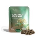 Voacanga Africana (5 grams)