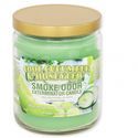 Candle Cool Cucumber & Honeydew (Smoke Odor Exterminator)