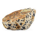 Dalmatian Jasper