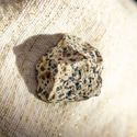 Dalmatian Jasper