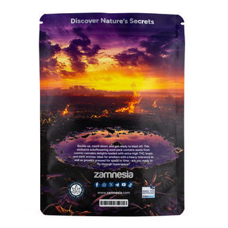 Galactic Delights Pack - Autoflower Strains