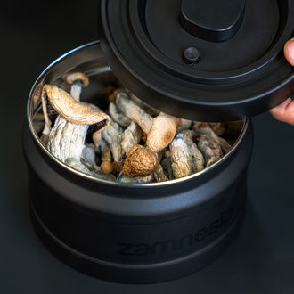 VacuFresh Steel Container (Zamnesia)