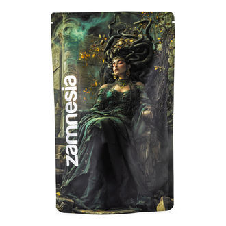 Medusa Z-Lock Stash Bag (Extra Large)