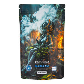 Medusa Z-Lock Stash Bag (Extra Large)