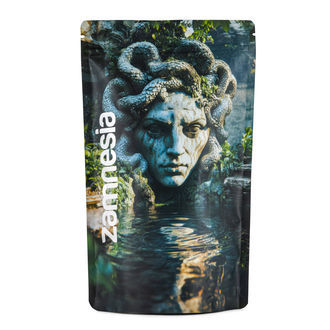 Medusa Z-Lock Stash Bag (Extra Large)
