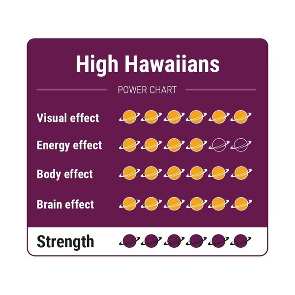 High Hawaiians Magic Truffles