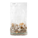 Zamnesia Ready-2-Grow Bag 'Hillbilly Pumpkin'