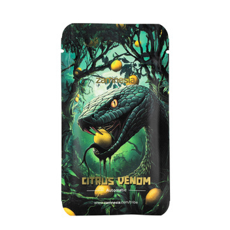 Citrus Venom Autoflower (Zamnesia Seeds) feminized