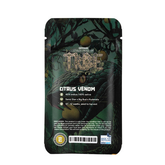 Citrus Venom Autoflower (Zamnesia Seeds) feminized
