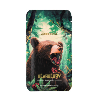 Bearberry Autoflower (Zamnesia Seeds) feminized