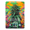In-Di-Couch Indica Pack - Feminized Strains