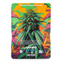 In-Di-Couch Indica Pack - Autoflower Strains
