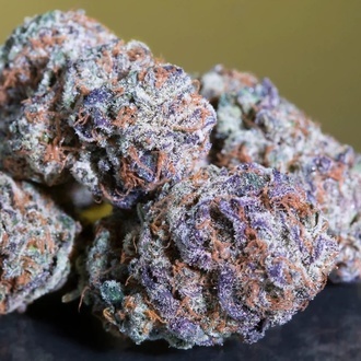 Blue Gem (Paradise Seeds) feminized