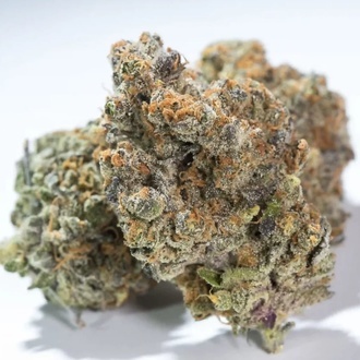 Glowstarz (Paradise Seeds) feminized