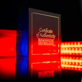 Bananakin Skywalker (Zamnesia Seeds x DNA Genetics) feminized