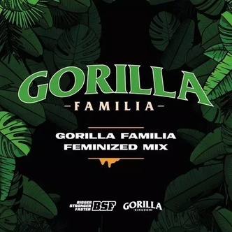 Gorilla Family Mix (BSF Seeds) feminized