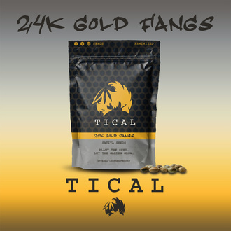 24K Gold Fangs (TICAL) feminized
