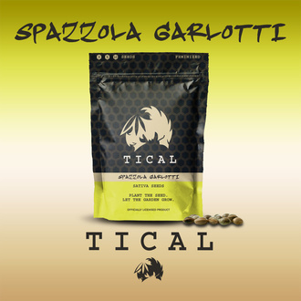 Spazzola Garletti (TICAL) feminized