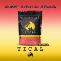 Sweet Morning Mimosa (TICAL) feminized