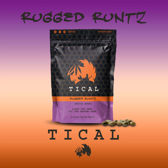 Rugged Runtz (TICAL) feminized