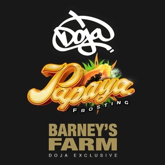 Papaya Frosting (Barney's Farm) feminized