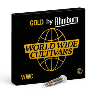 CBD ACDC (Blimburn Seeds) feminized