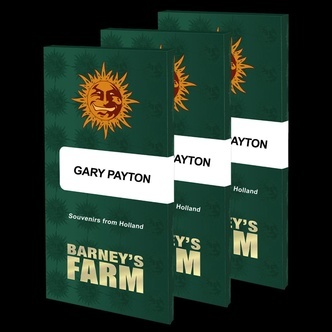 Gary Payton (Barney's Farm) feminized