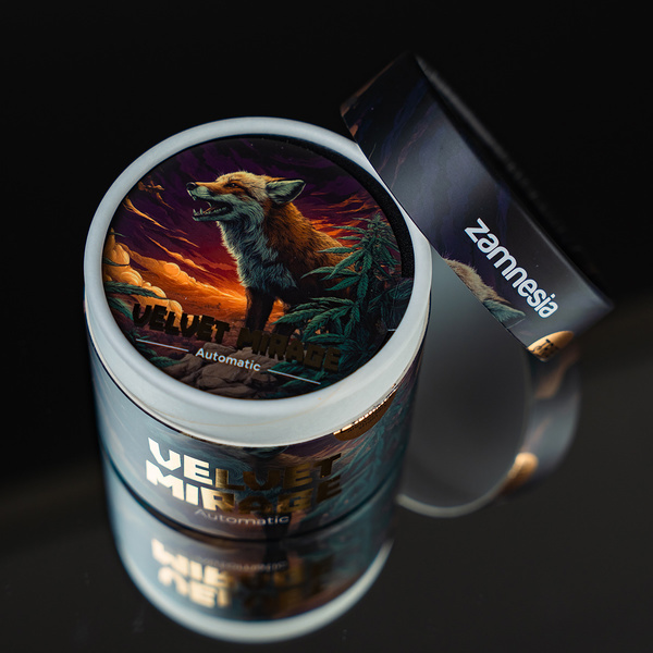 Velvet Mirage Autoflower (Zamnesia Seeds) - 4 Feminized Seeds + Grinder