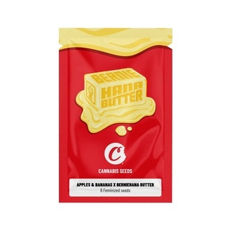 Apples & Bananas x Berniehana Butter (Cookies) feminized