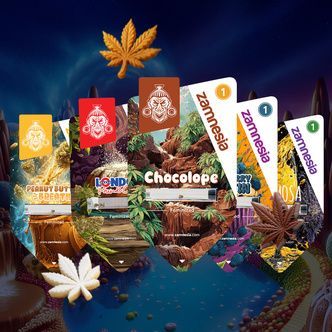 Sugar Valley Bundle (Zamnesia Seeds) feminized