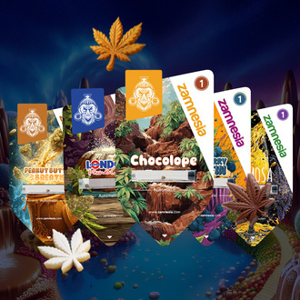 Sugar Valley Autoflower Bundle (Zamnesia Seeds) feminized