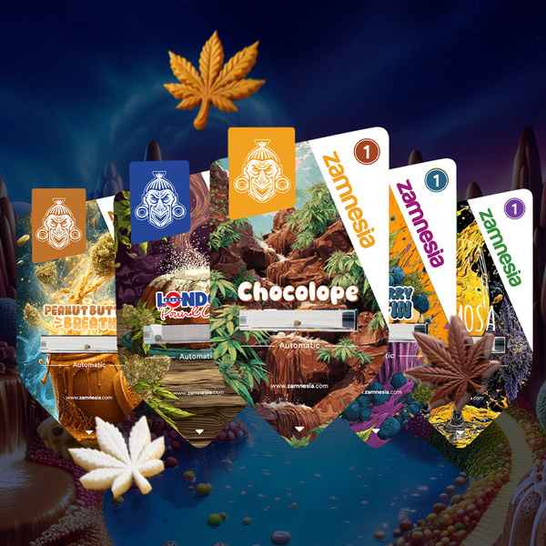 Sugar Valley Autoflower Bundle (Zamnesia Seeds) feminized