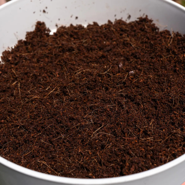 Coco Brick 10L (Zamnesia)